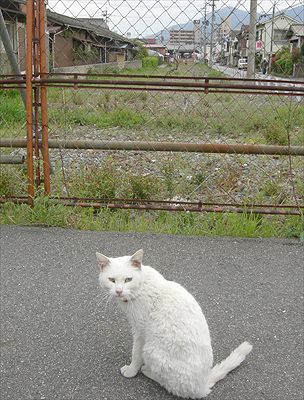 西鉄北九州線・折尾東口〜陣の原間線路跡