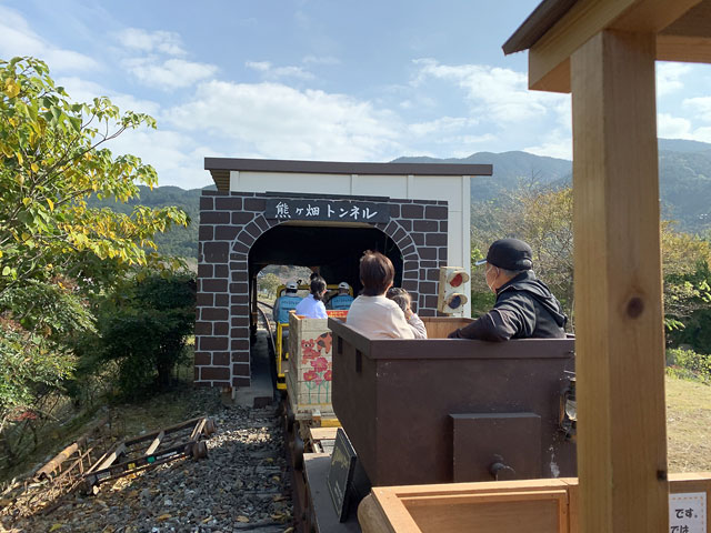 トロッコフェスタ in YAMADA 2021.秋の写真