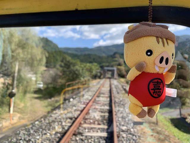 トロッコフェスタ in YAMADA 2023.秋の写真