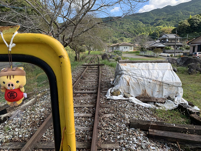 トロッコフェスタ in YAMADA 2023.秋の写真