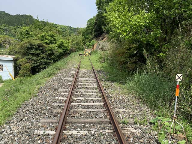 トロッコフェスタ in YAMADA 2024.春の写真