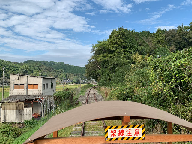 トロッコフェスタ in YAMADA 2024.秋の写真